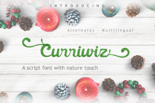 Curriwiz: A Beautiful Script Font for Web Design