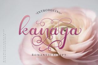 Enhance Your Brand with Kanaya: A Modern Script Font