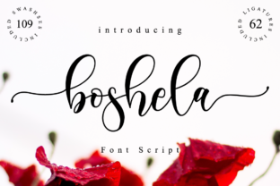 Enhance Your Web Design with Boshela Script Font