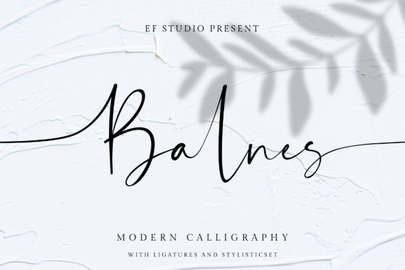 Explore Balnes: A Refined Script Font for Creative Projects