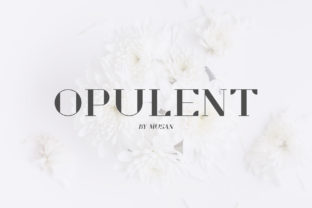 Opulent: Elevate Your Web Design with This Premium Serif Font