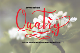 Quatry: Elevate Your Campaigns with a Romantic Handwritten Font